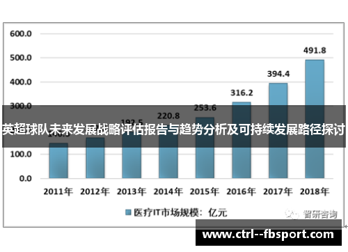 英超球队未来发展战略评估报告与趋势分析及可持续发展路径探讨 英超球队未来发展战略评估报告与趋势分析及可持续发展路径探讨